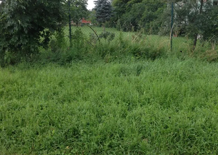 Sommerhof Im Havelland